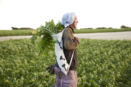 命名100周年を祝う~ファッションデザイナー髙島一精さんの「三浦大根BAG」数量限定で発売中!